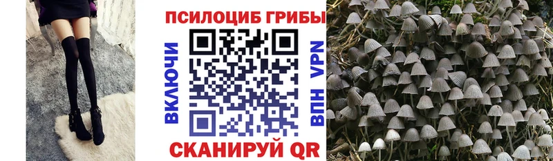 Галлюциногенные грибы мухоморы  закладки  Алдан 